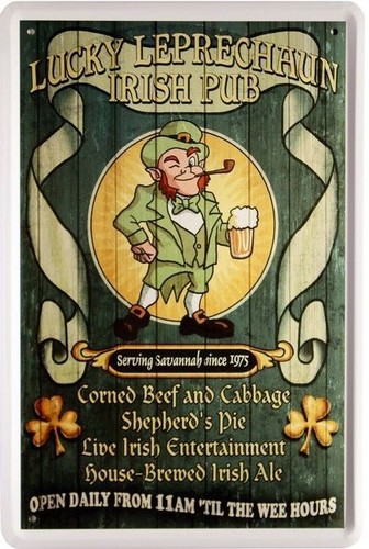 Blechschild 20x30 irish - blechschild, pub