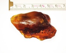 Herrlicher, baltischer