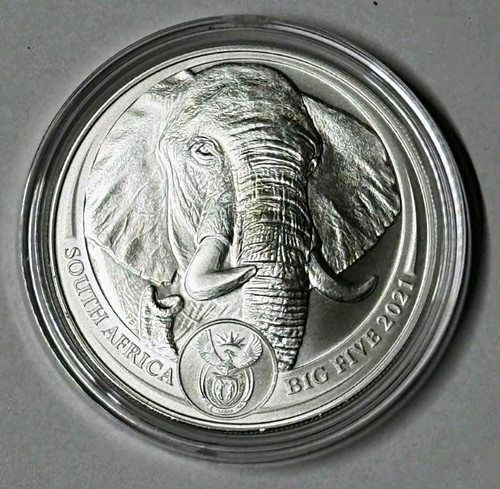 Südafrika big five 2021 - südafrika,