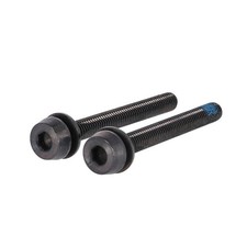 Campagnolo Schrauben H11