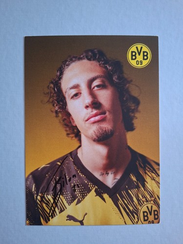 Fabio silva bvb borussia - fabio,