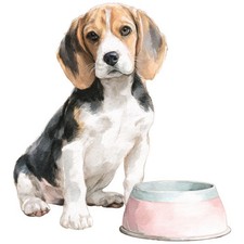 2x Sticker Beagle Car Sticker