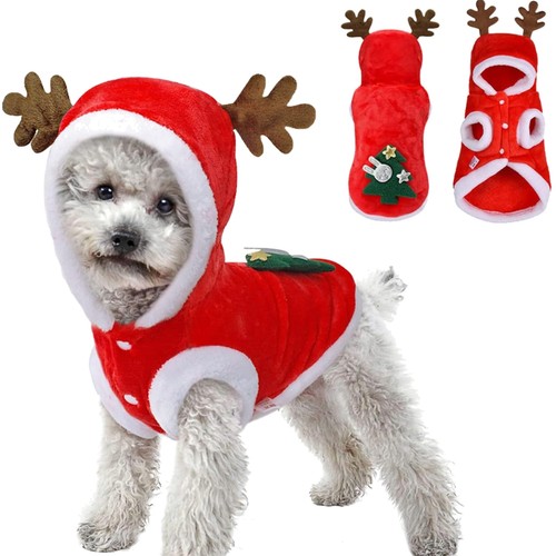 Hunde weihnachtskostüm - hunde,