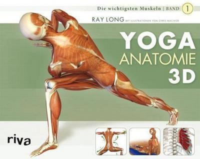 Yoga anatomie band - 3d:,