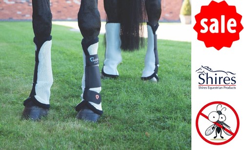 Fly turnout boots shires - shires, arma