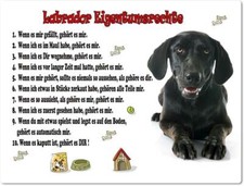 Warnschild - 20x30cm -