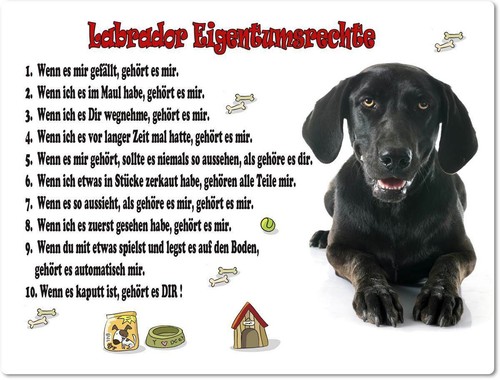 Warnschild 20x30cm - -,