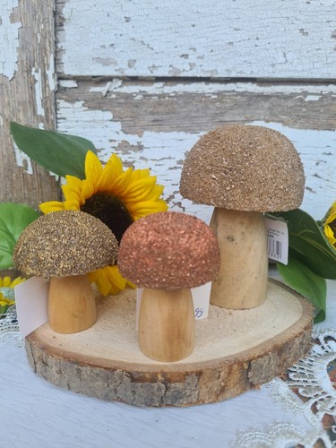 Pilz pilze holz braun - pilz,