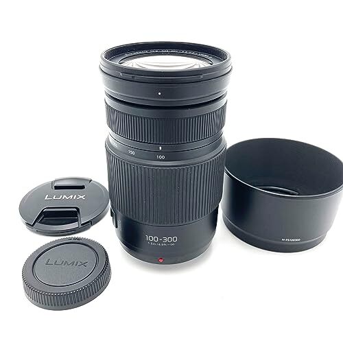 Panasonic lumix vario - g,