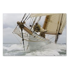 Postereck 0430 Poster Leinwand