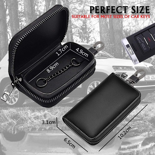 Keyless schutz - keyless, go