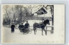 50548382 - Pony-Schlitten , Foto-Karte