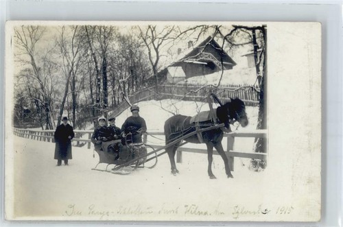 50548382 pony schlitten - -,