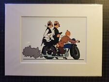 Tim und Struppi, tintin, Bild