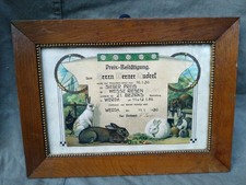 Urkunde Bild Hasen Kaninchen