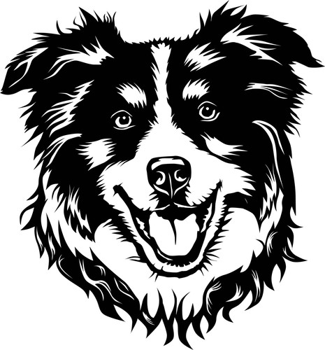 Autoaufkleber sticker für - autoaufkleber, /