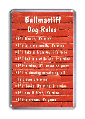 Bullmastiff hund regeln - hund,