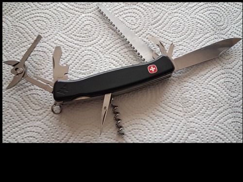 Wenger ranger everest - wenger,