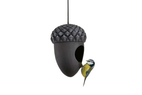 Eichel vogelfutterhaus vögel - eichel,