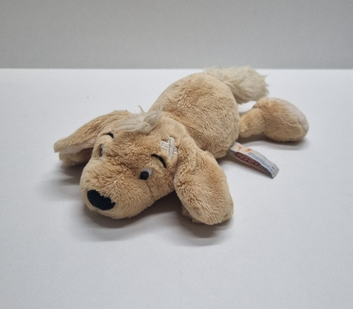 Nici hund liegend mit pflaster - liegend,