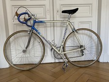 Vintage Rennrad Benotto Campagnolo RH 58 cm Columbus 1980er