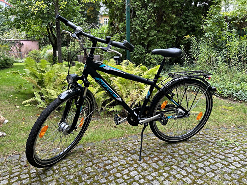 Pegasus avanti - 26“,