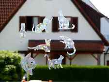 7er Set Regenbogen Sonnenfänger suncatcher Katzen cats  suncatcher Fensterbild