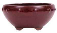 Bonsai - Schale rund 20,5 Ø x