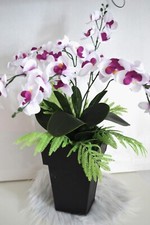 Orchideen Gesteck XL