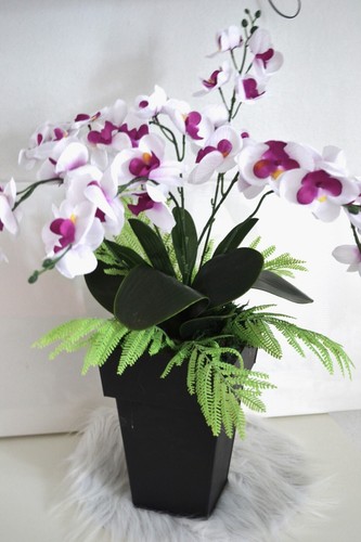 Orchideen gesteck - orchideen, xl