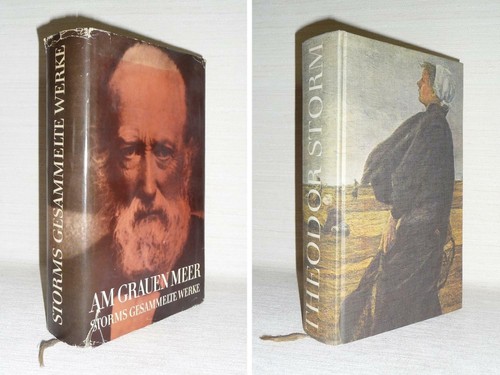 Theodor storm grauen meer - storm, am