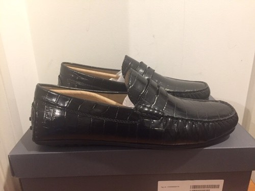 Ecco reptile effect - reptile,
