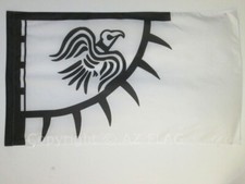 FLAGGE WIKINGER RAVEN 90x60cm