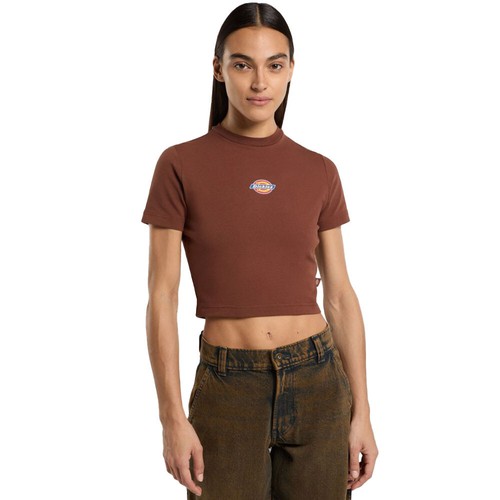 Dickies maple valley tee - valley,