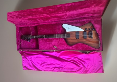 Epiphone thunderbird bass - thunderbird,