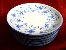 Arzberg Blaublüte 1382  1x