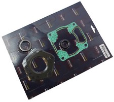 Zylinder Dichtsatz - RMS für