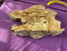 Olivenholz - Stamm -