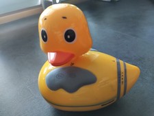 Duschradio Ente von Karcher