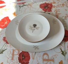 Rosenthal Schattenrose Grosse Platte Und 6 Teller