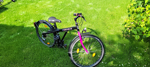 Pegasus city bike unisex - pegasus,