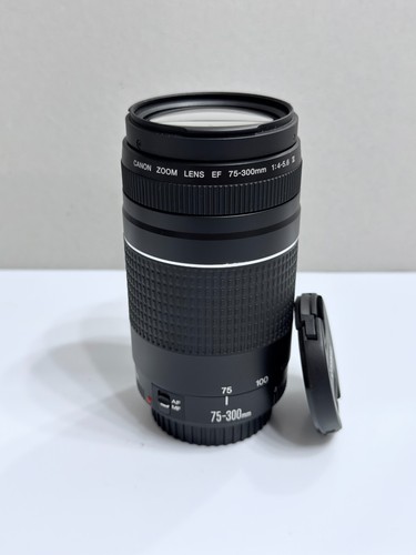 Canon 300 4 - f/4-5.6, iii