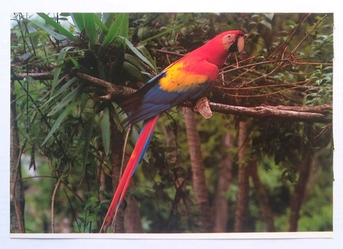 Rare 1993 vintage book picture - book,