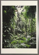 Thomas Struth, Sao Francisco