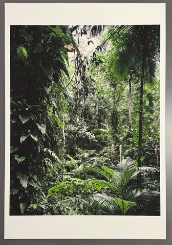 Thomas struth sao francisco - thomas,