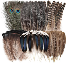 Natural Feathers Bulk - 55PCS