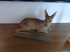 Tierpräparat/Ausgestopftes Tier Rehkitz