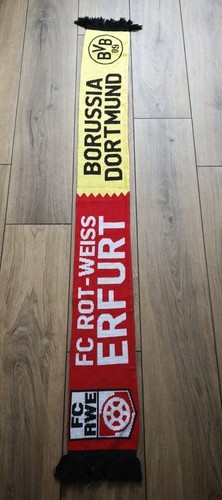 Rot weiss erfurt - fc,
