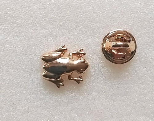 Pin cabouchon frosch ballou - cabouchon, (