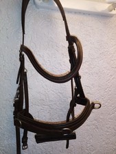 Kappzaum Anatomic, Waldhausen